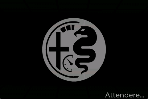 Schermata splashscreen Alfa Dashboard
